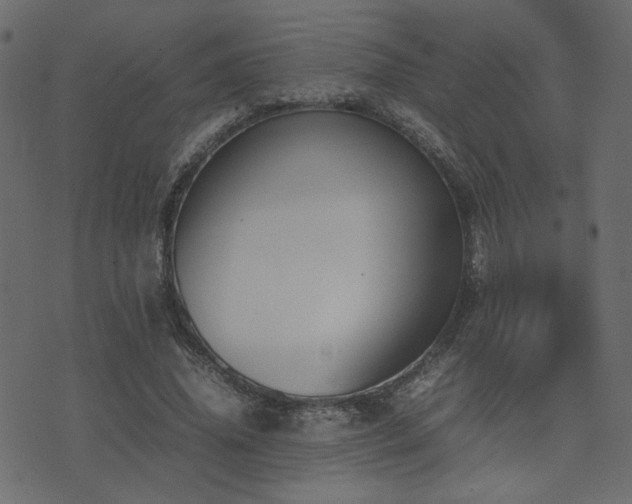 X0000074310636200608251236