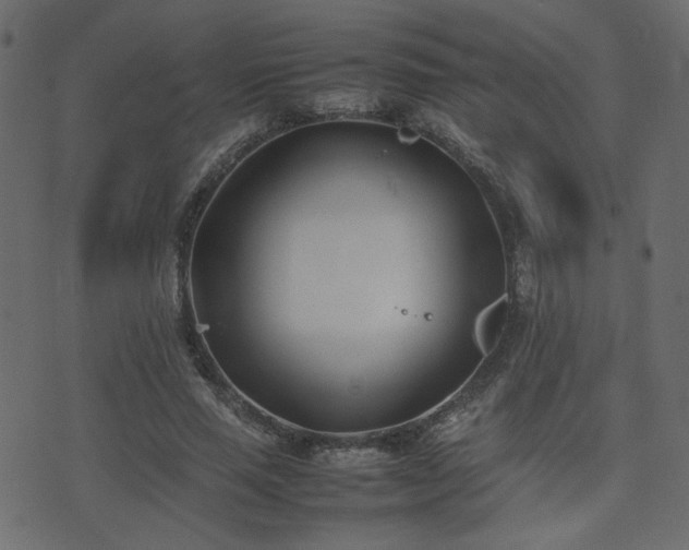 X0000074310637200608251236