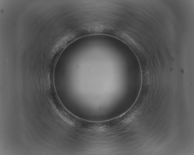 X0000074310638200608251236