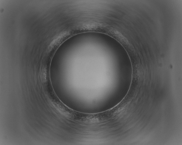 X0000074310640200608251236