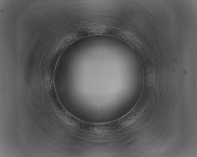 X0000074310641200608251236