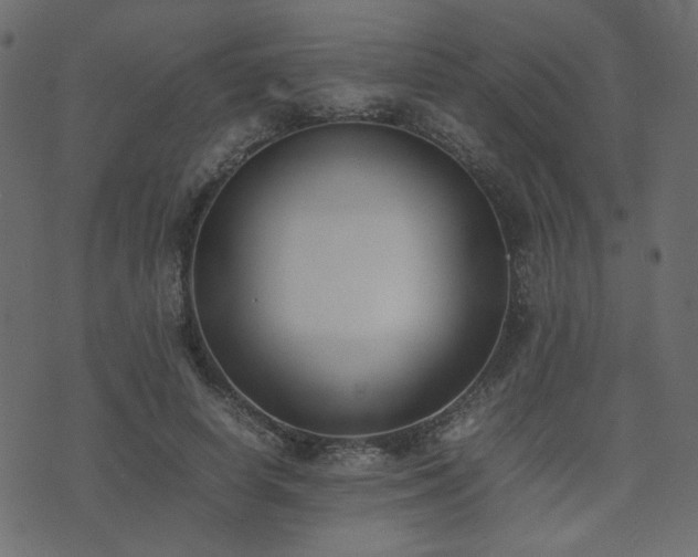 X0000074310642200608251236