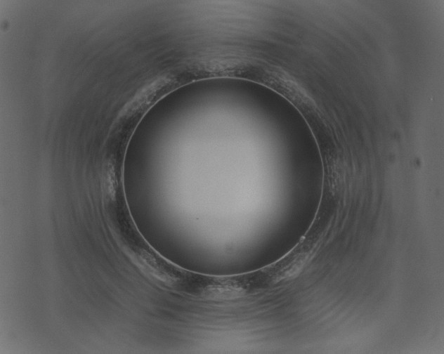 X0000074310644200608251237