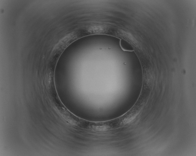 X0000074310645200608251237