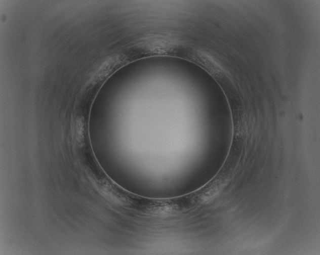 X0000074310646200608251237