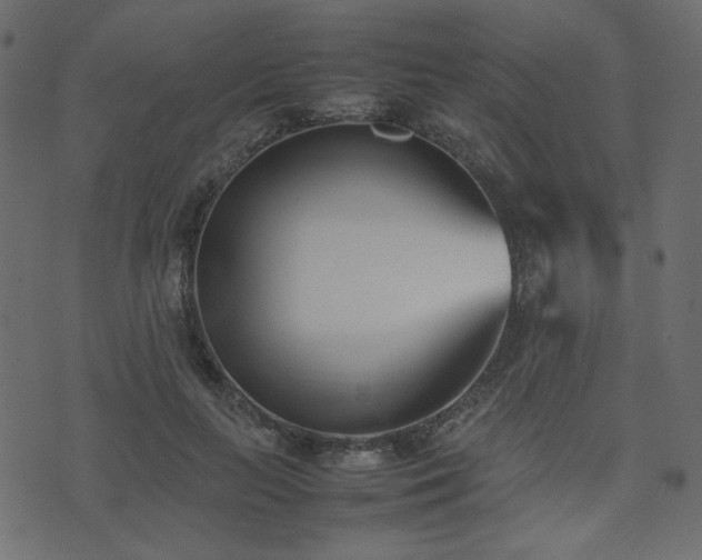 X0000074310647200608251237