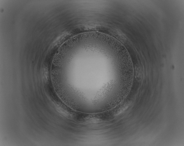 X0000074310648200608251237