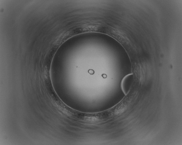 X0000074310649200608251237