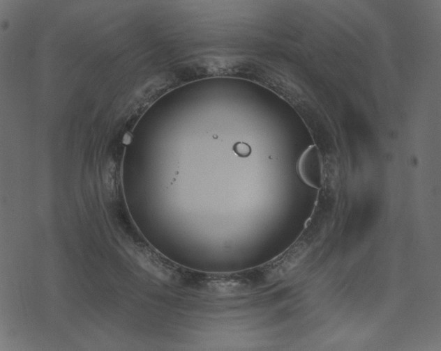 X0000074310650200608251237