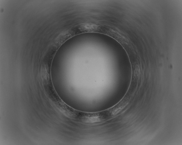 X0000074310651200608251237