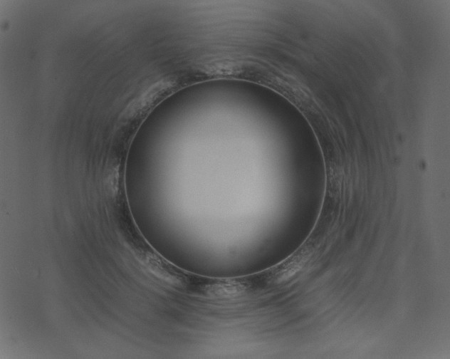 X0000074310652200608251237