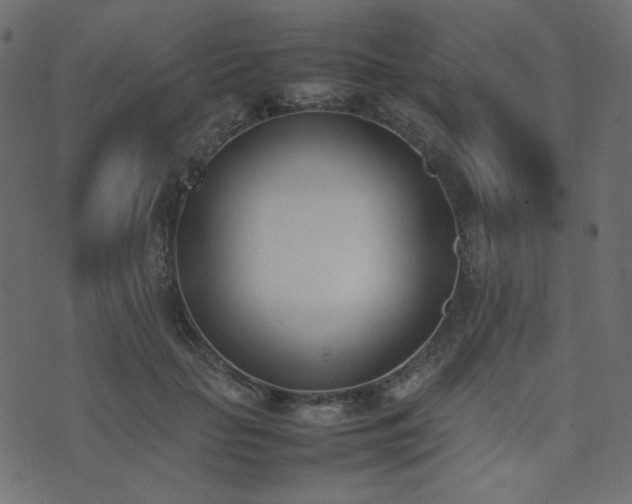 X0000074310653200608251237