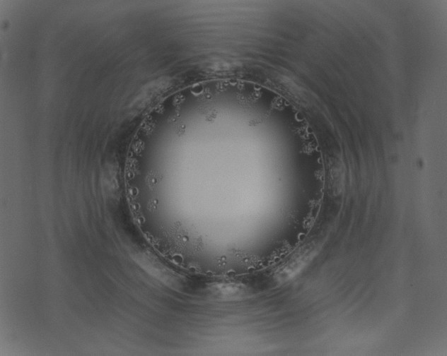 X0000074310654200608251237