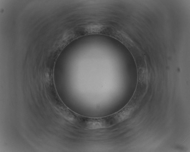 X0000074310655200608251237