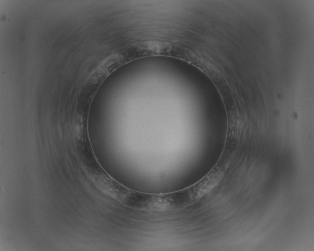 X0000074310656200608251237