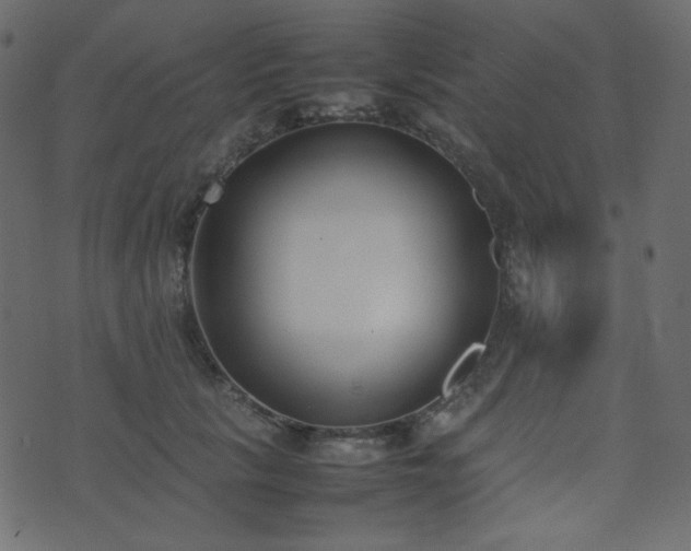 X0000074310657200608251237