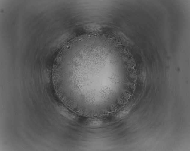 X0000074310658200608251237