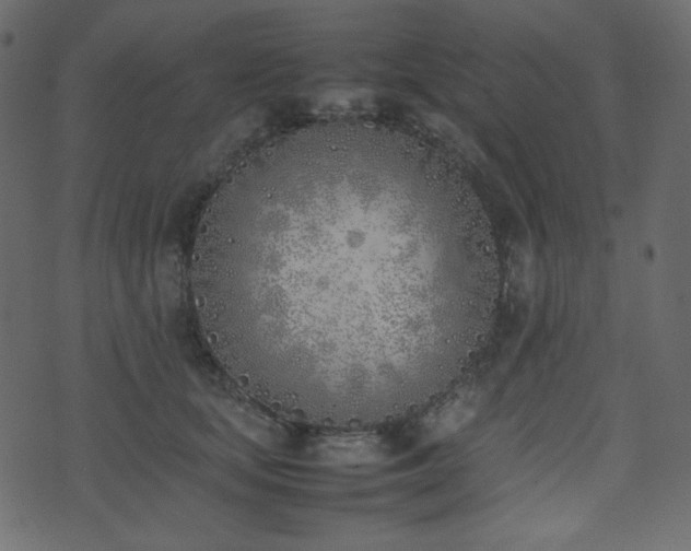 X0000074310659200608251237