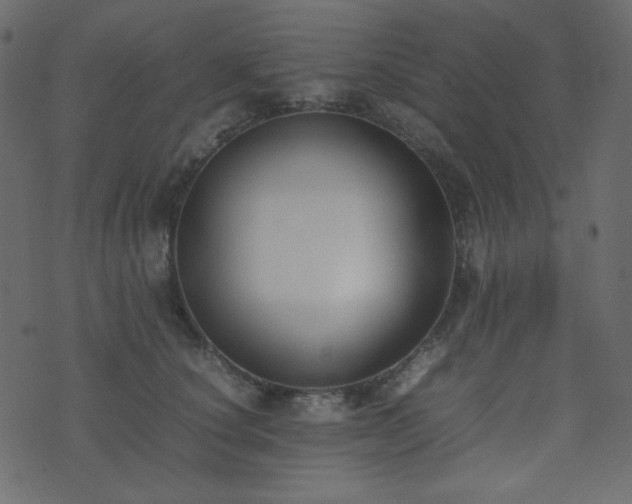 X0000074310660200608251237