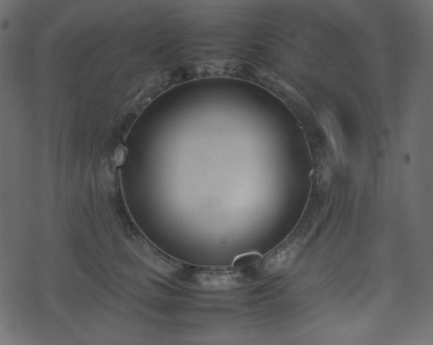 X0000074310661200608251237