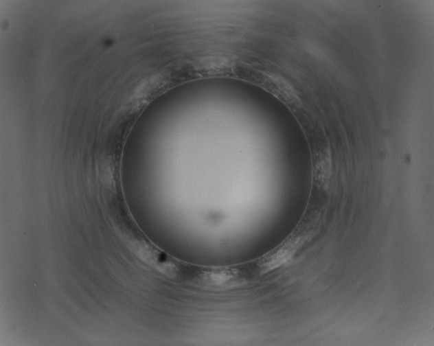 X0000074310662200608251237