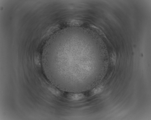 X0000074310663200608251237