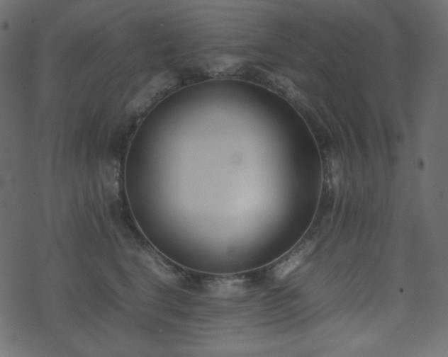 X0000074310664200608251237