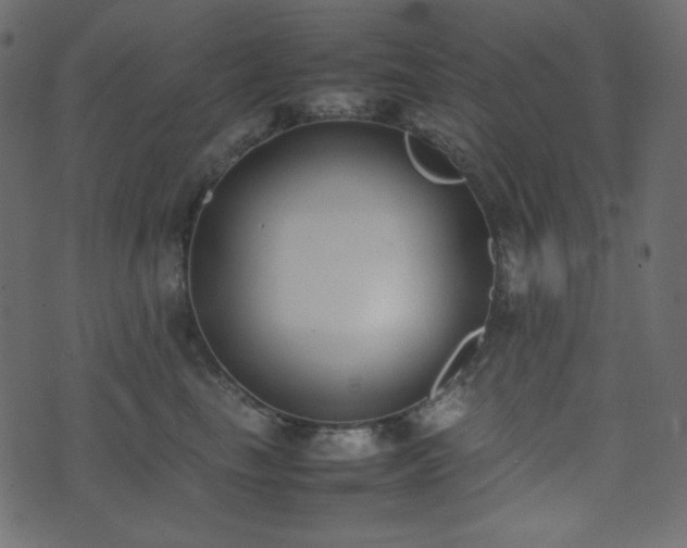 X0000074310665200608251237