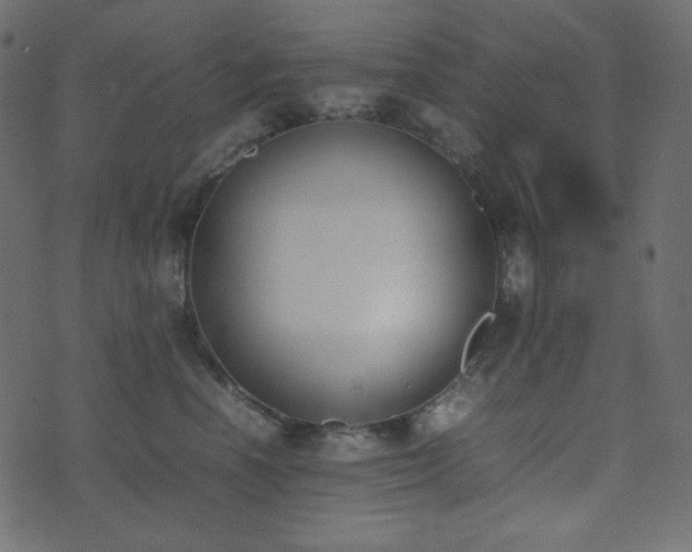 X0000074310666200608251237