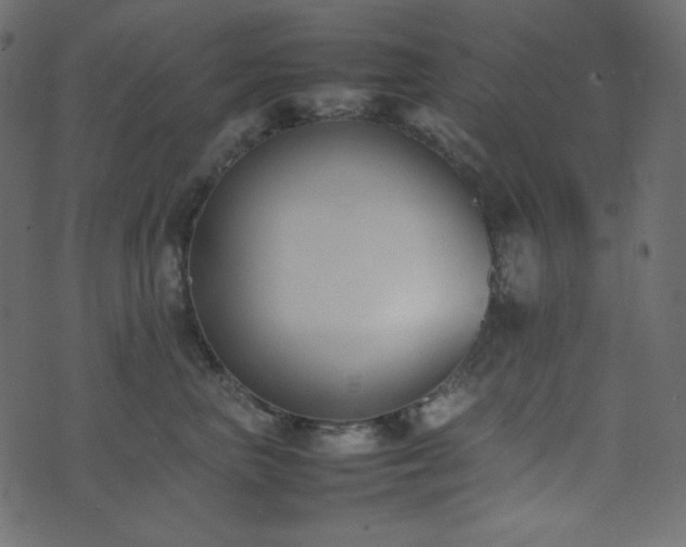 X0000074310667200608251237