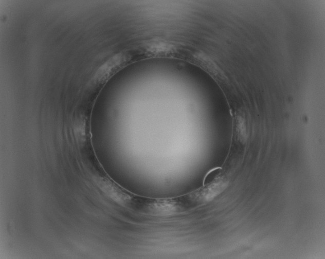 X0000074310668200608251237