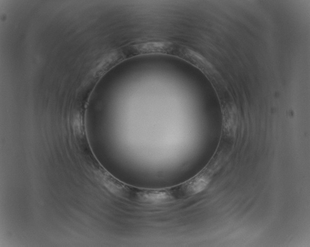 X0000074310669200608251237