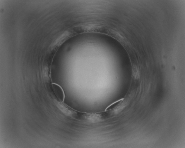 X0000074310670200608251237