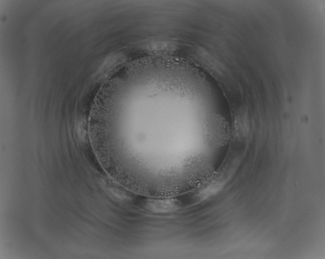 X0000074310671200608251237