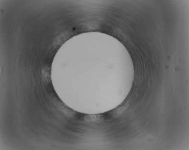 X0000074310672200608251237