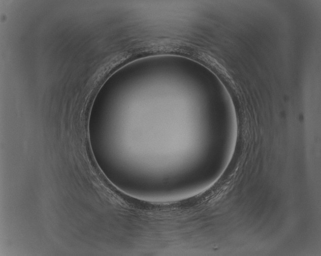 X0000074310673200608251236