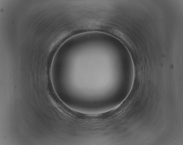 X0000074310677200608251236