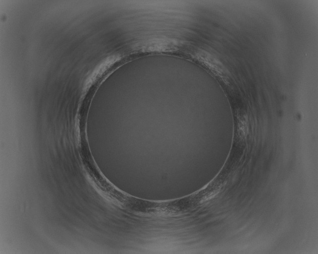 X0000074310678200608251236