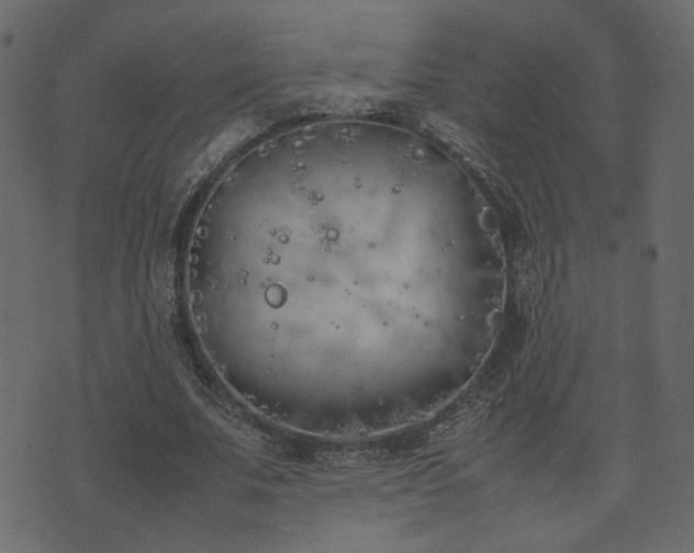 X0000074310679200608251236