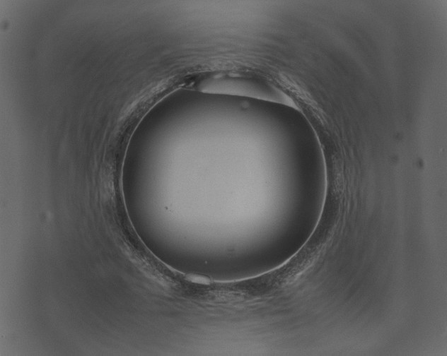 X0000074310681200608251236