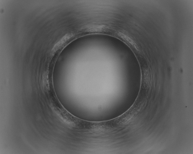 X0000074310682200608251236