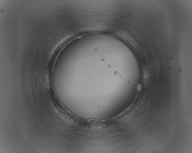 X0000074310684200608251236