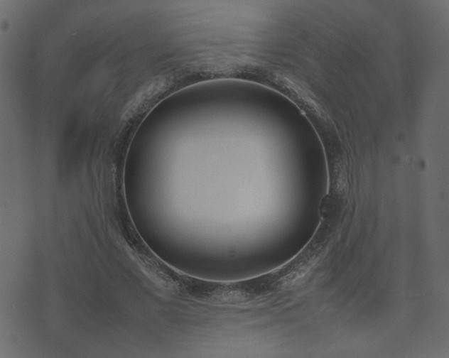 X0000074310685200608251236