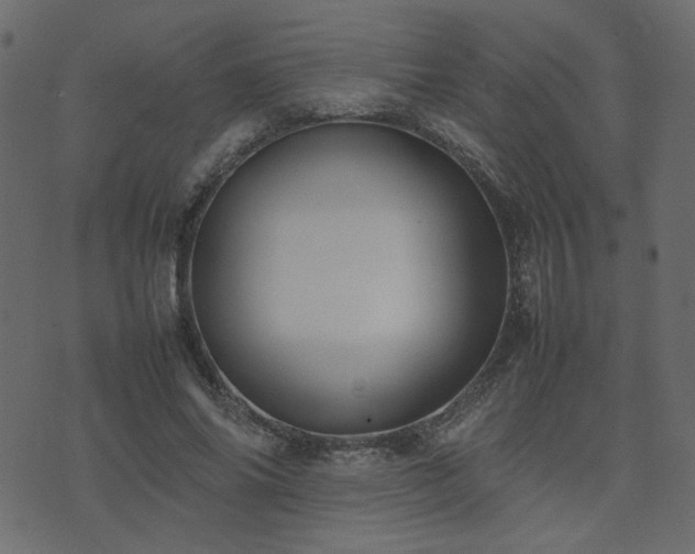 X0000074310686200608251236