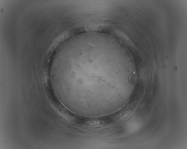 X0000074310687200608251236