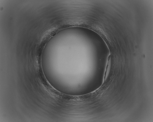 X0000074310688200608251236