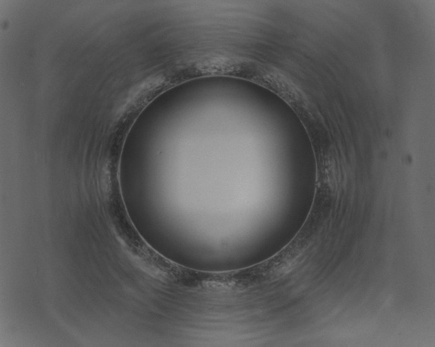 X0000074310690200608251236