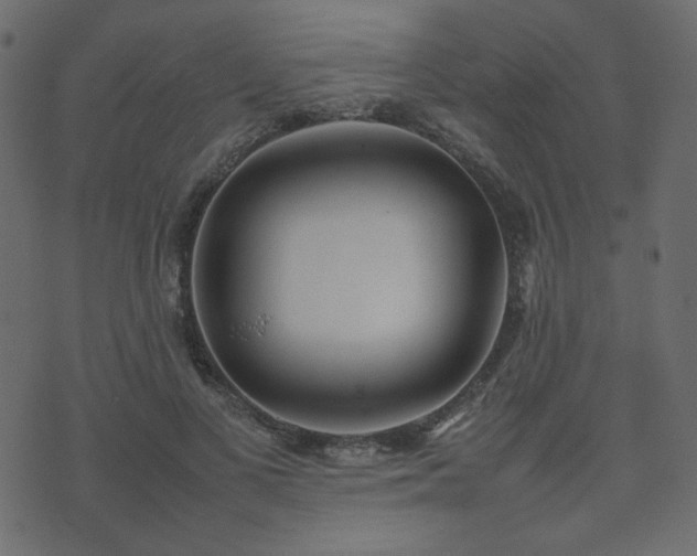 X0000074310693200608251236