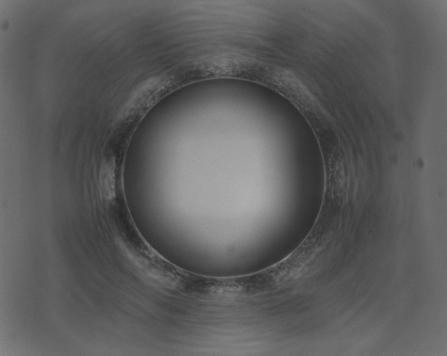 X0000074310694200608251236