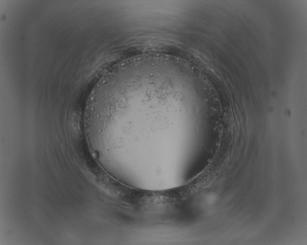 X0000074310695200608251236